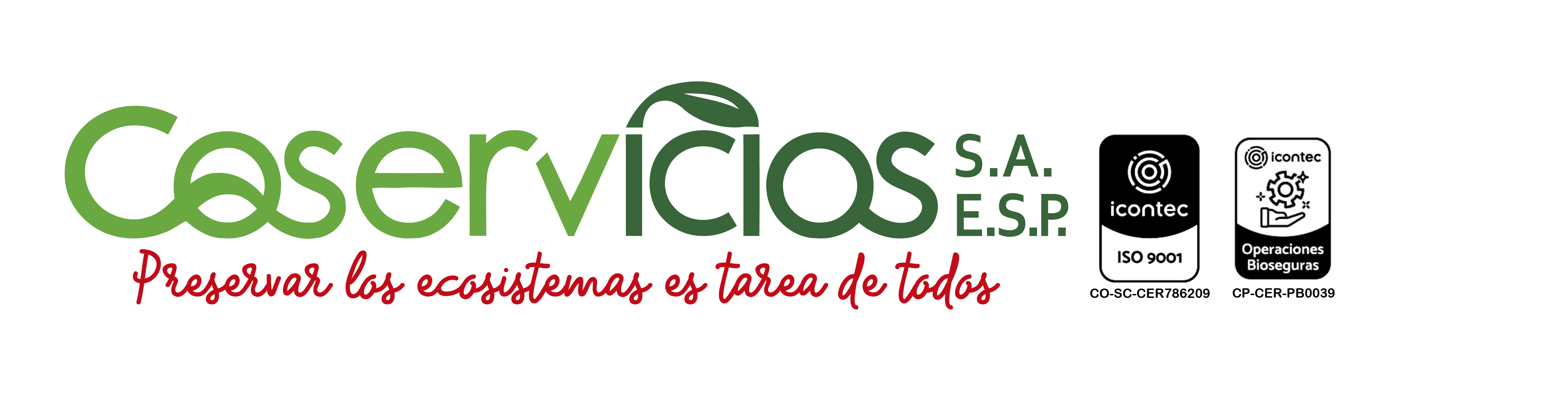 cs logo